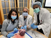 RajshekerHeartDissection